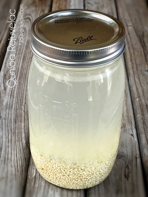 Quinoa Rejuvelac placed in a large mason jar for storing