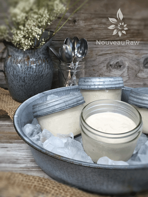 a spoonful of raw vegan Cultured Vanilla Cinnamon Ice Cream displayed in mason jars for individual servings
