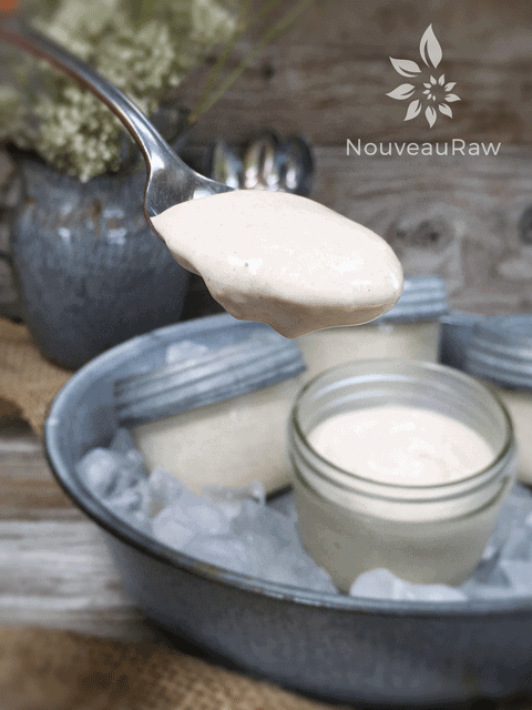 a spoonful of raw vegan Cultured Vanilla Cinnamon Ice Cream displayed in mason jars