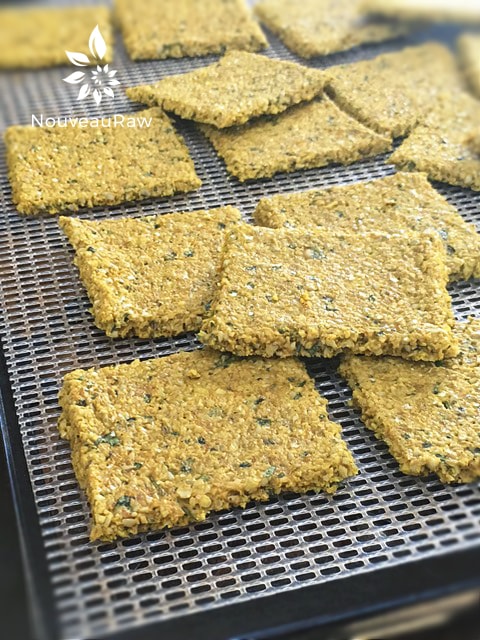 raw vegan Thai Crackers right out of the Excalibur dehydrator