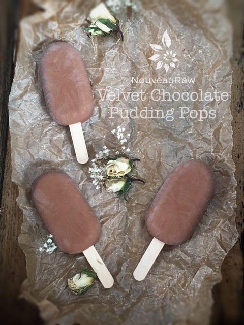 raw vegan over view of Velvet Chocolate Pudding Pops - no added sugar
