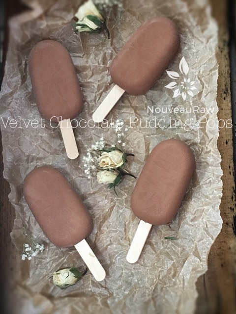 over view of Velvet Chocolate Pudding Pops - no added sugar