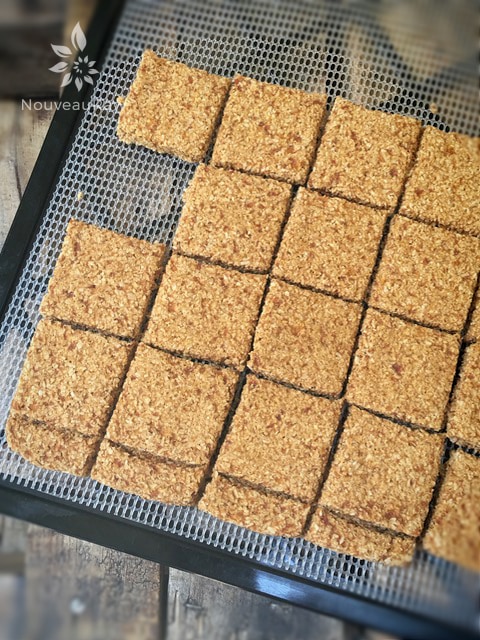 Apricot-and-Cinnamon-Coconut-Crackers-11