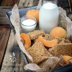 vegan nut-free raw gluten-free crackers, apricot and cinnamon coconut crackers