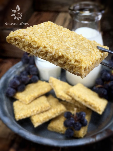 a close up of Mighty Mango Ginger Coconut Crackers (raw, vegan, gluten-free, nut-free)