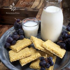 raw, vegan, nut-free, gluten-free crackers. Mighty mango ginger coconut crackers