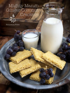 raw, vegan, nut-free, gluten-free crackers. Mighty mango ginger coconut crackers