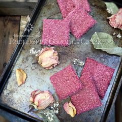 Vegan Gluten Free Raspberry Coconut Crackers