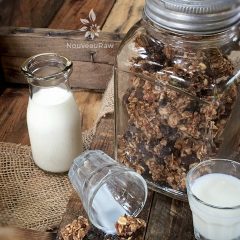 Vegan Chocolate Chip Banana Bread Granola