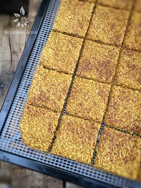 raw vegan gluten-free Pumpkin Coconut Crackers right out of the dehydrator
