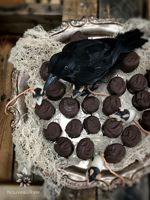 an over view of raw vegan Rollo Halloween Date Caramels display with rubber mice and a crow for Halloween