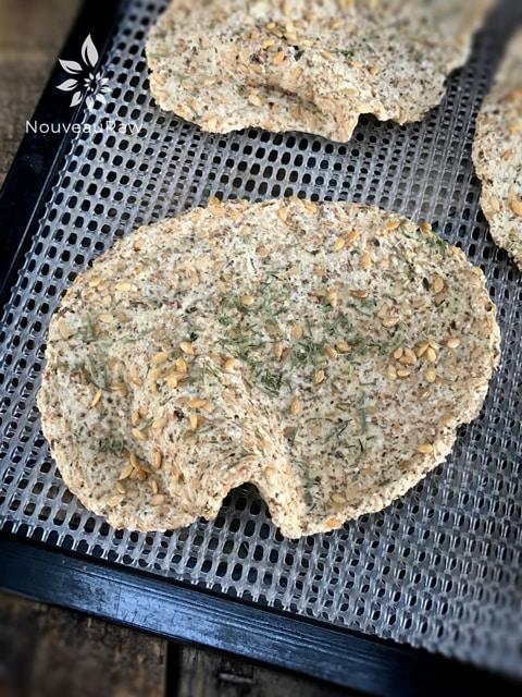 close up of over photo of raw vegan gluten-free Caraway and Dill Crispy Flatbread on a dehydrator tray