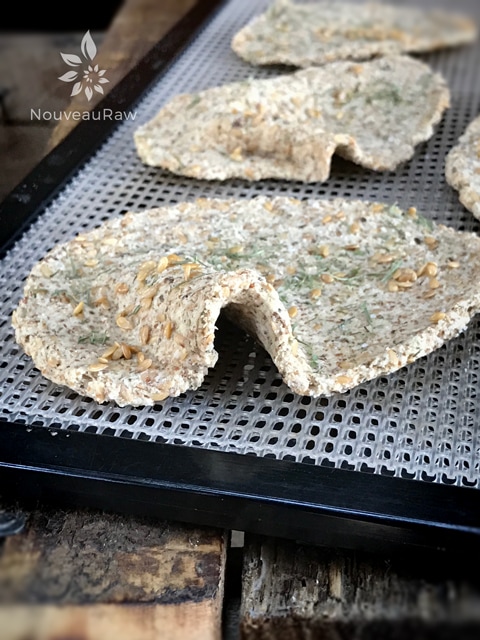 side view raw vegan gluten-free Caraway and Dill Crispy Flatbread on a dehydrator tray