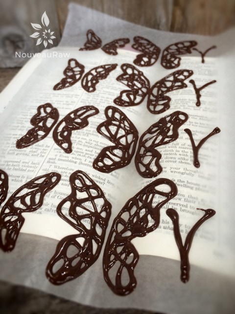 how to make chocolate butterflies with the appearance of movement