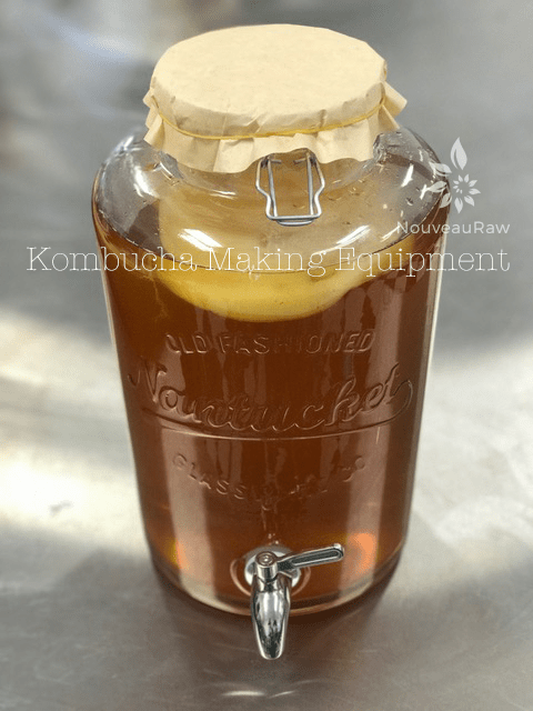 1 Gallon Mason Jar - Glass Kombucha Jar with Stainless Steel Tea Infuser -  Home Brewing and Fermenting