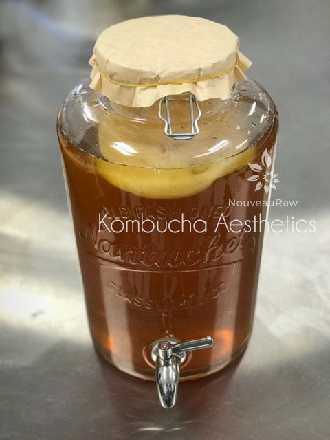  a 2 1/2 gallon vessel of kombucha - Kombucha Aesthetics