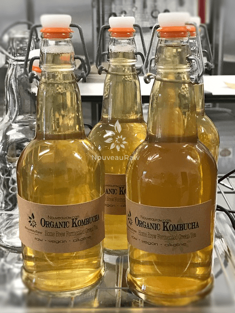 home brewed kombucha bottles on a rack