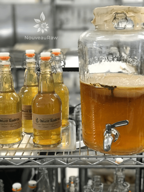 home brewed kombucha bottles on a rack along with the brewing vessel
