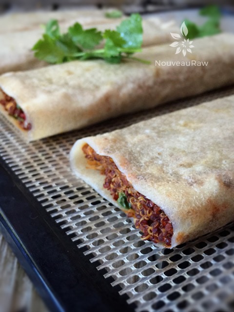close up of the removing the Spanish Quinoa and Refried "Bean" Burrito once dehydrated