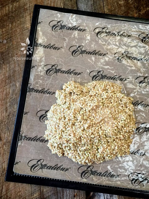 placing the raw, vegan, gluten-freeCrunchy Buckwheat Cereal on the dehydrator tray
