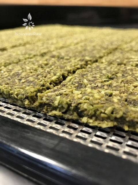 close up of Creamy Kale Crackers out of the dehydrator