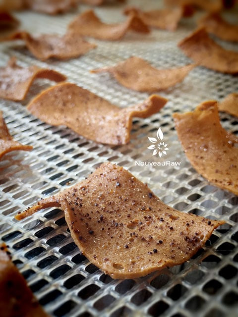 dehydrated Mexican Cheese Chips