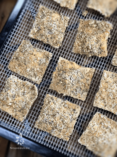 _Crusted-Herbed-Macadamia-Nut-Cheese-Ravioli-Place on a dehydrator tray.