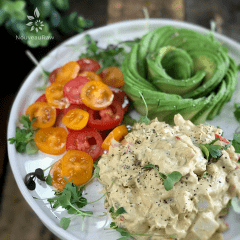 Raw Food Snacks