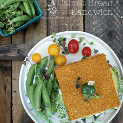 Raw Food Snacks