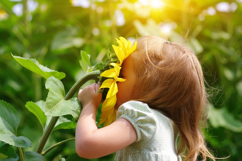little-girl-smelling-a-sunflower