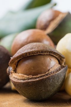 raw food recipes with macadamia nuts