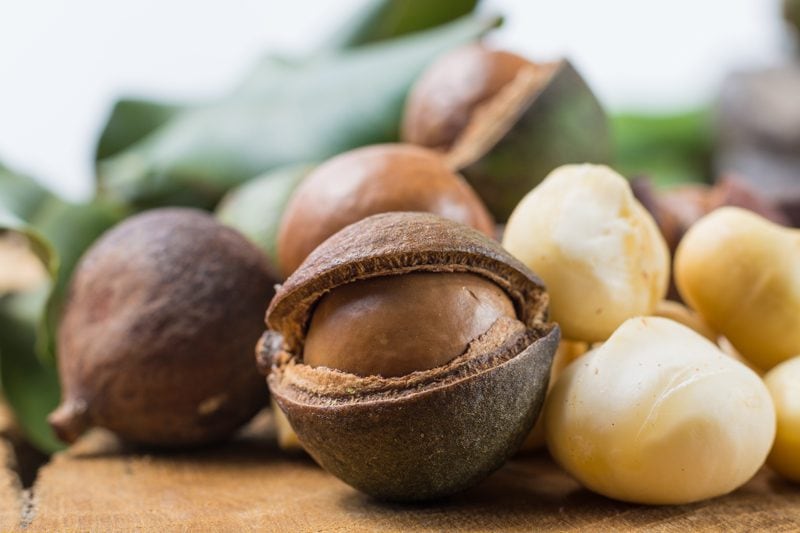 macadamia nuts in husk, shells and then unshelled