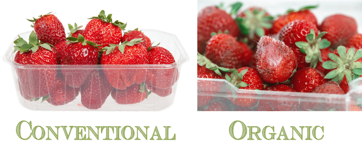 How Do You Know If Strawberries are Organic  