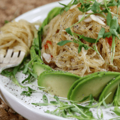 raw and gluten-free kelp noodles with almond butter miso sauce from Nouveau Raw