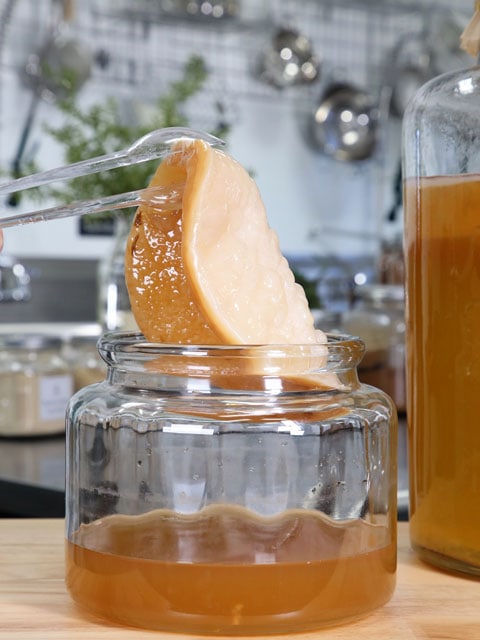 growing-your-own-SCOBY-close-up-1