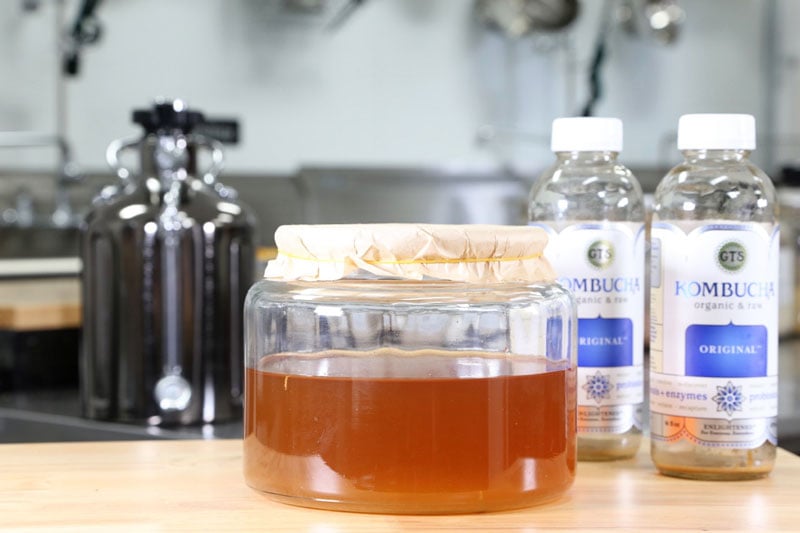 growing-your-own-SCOBY-from-kombucha