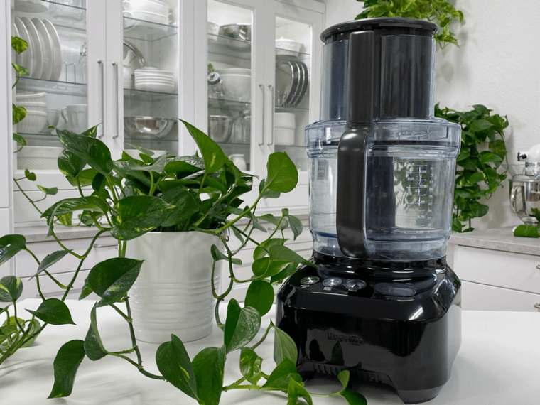 1 Food Processor Why and What I