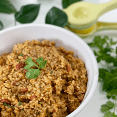 vegan oil-free Spanish Rice