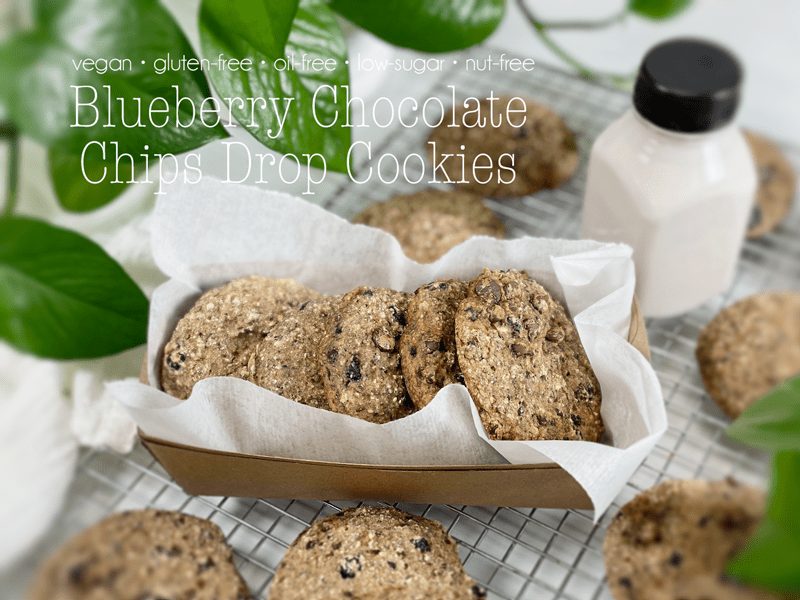gluten-free, oil-free, low-sugar, flour-free, nut-free Blueberry Chocolate Chips Drop Cookies