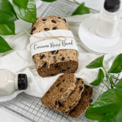 vegan gluten-free nut-free flour-free cinnamon raisin bread