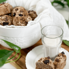 vegan gluten-free nut-free flour-free oil-free Chocolate Chip Cranberry Muffins