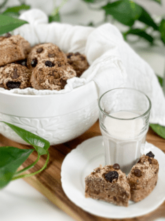 vegan gluten-free nut-free flour-free oil-free Chocolate Chip Cranberry Muffins