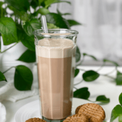 raw vegan chocolate peppermint almond milk