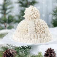 raw vegan gluten-free cranberry chip winter bonnet cake