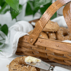 vegan gluten-free nut-free oil-free everything bagel