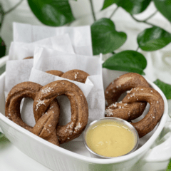 vegan gluten-free yeast-free oil-free soft pretzels