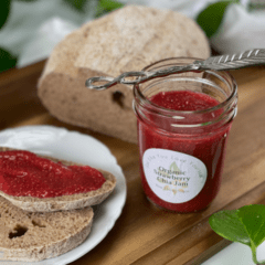 low sugar vegan no-cook strawberry chia seed freezer jam